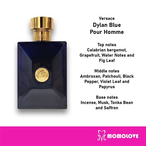 Versace pour homme notes